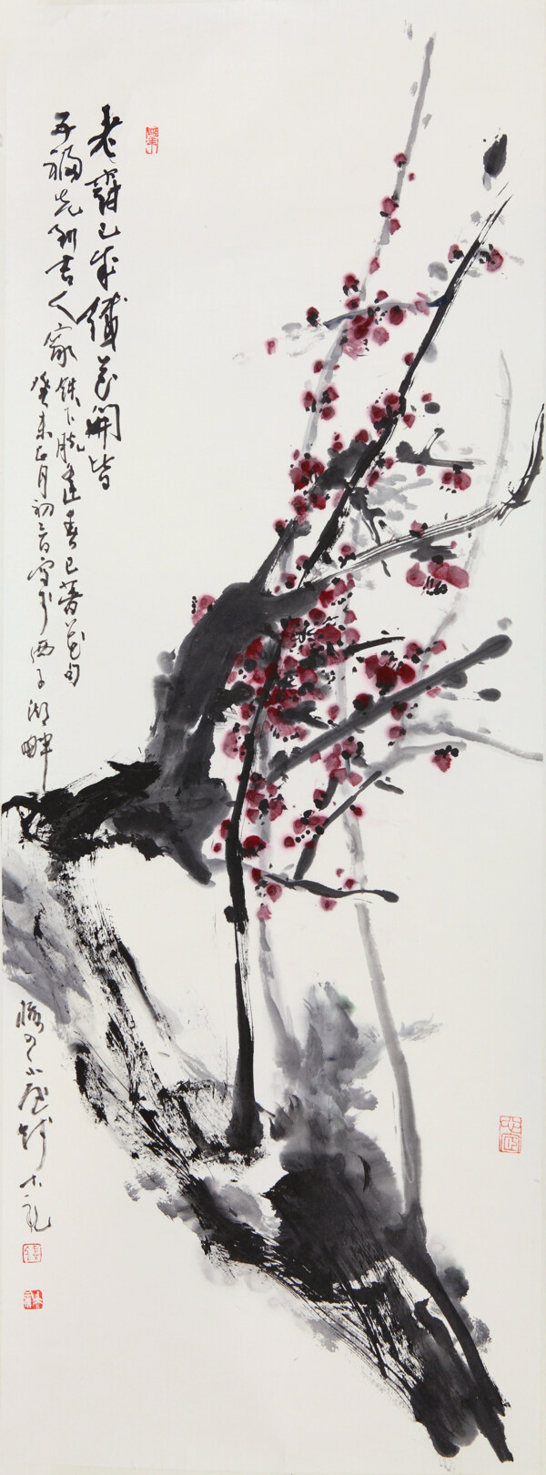 老樹新花