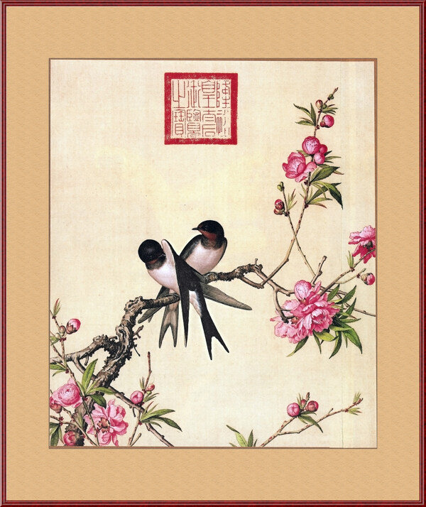 燕子花卉圖片