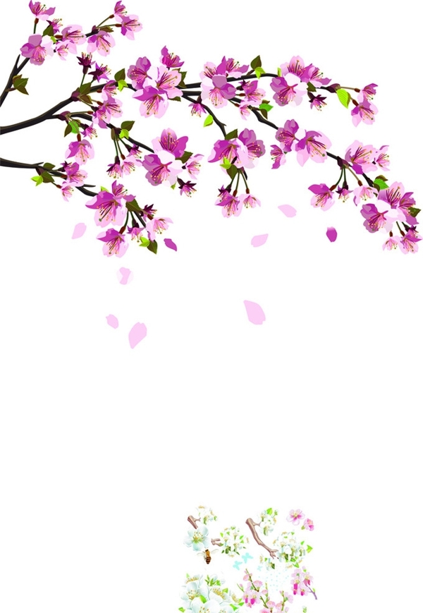 桃花圖片