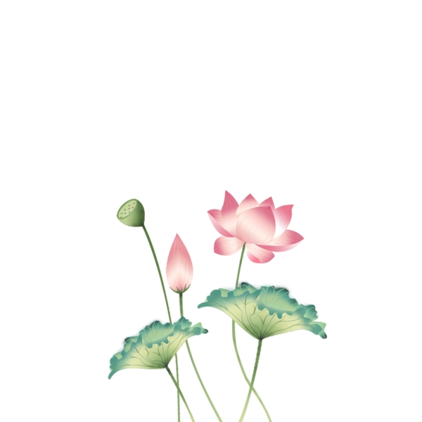 手繪花