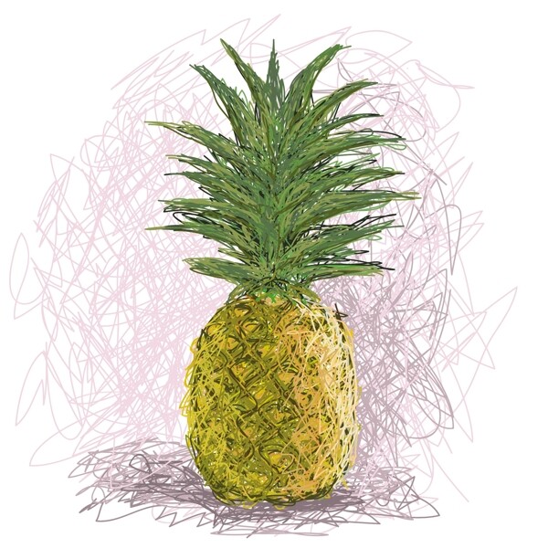 菠蘿