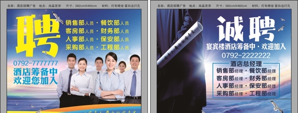 招聘企業(yè)文化海鷗
