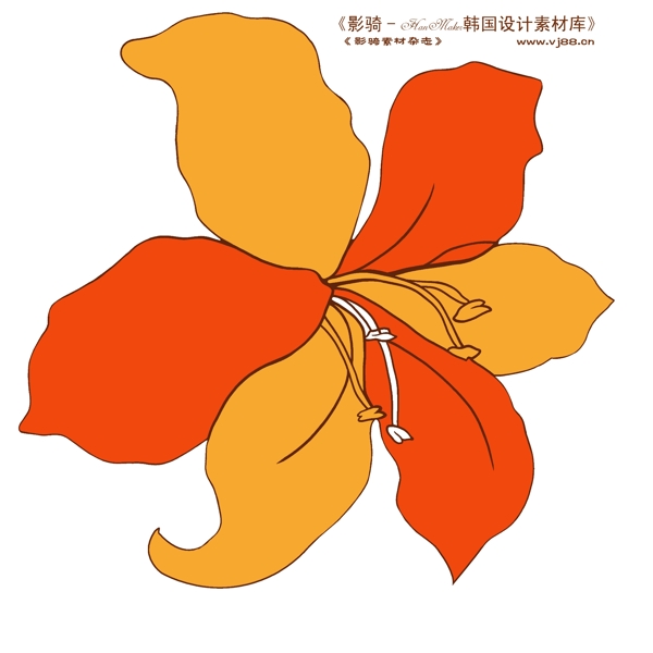 花紋花朵裝飾修飾HanMaker韓國設(shè)計(jì)素材庫