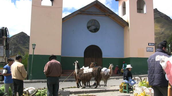 厄瓜多尔市场股票和骆驼的录像视频免费下载