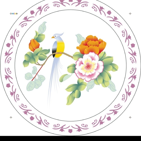 花鳥矢量圖片