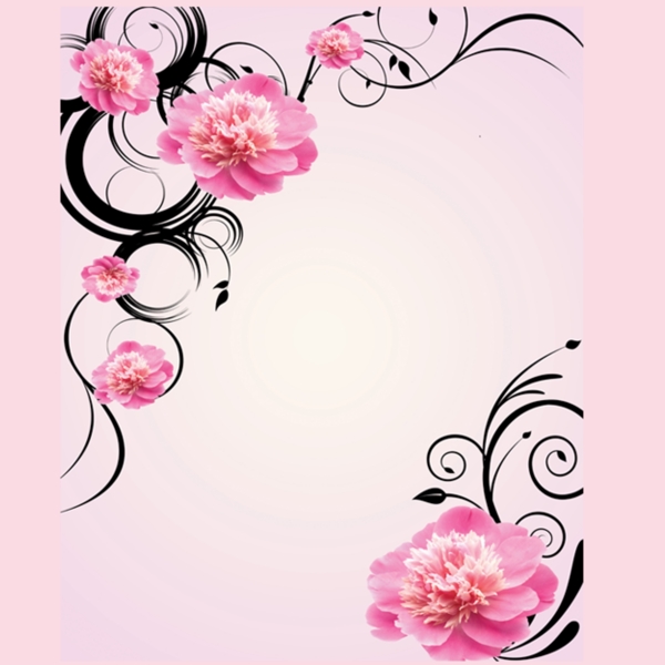 花邊花紋