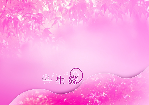 今生有約一世情緣2009主題模板影樓魔法書DVD14