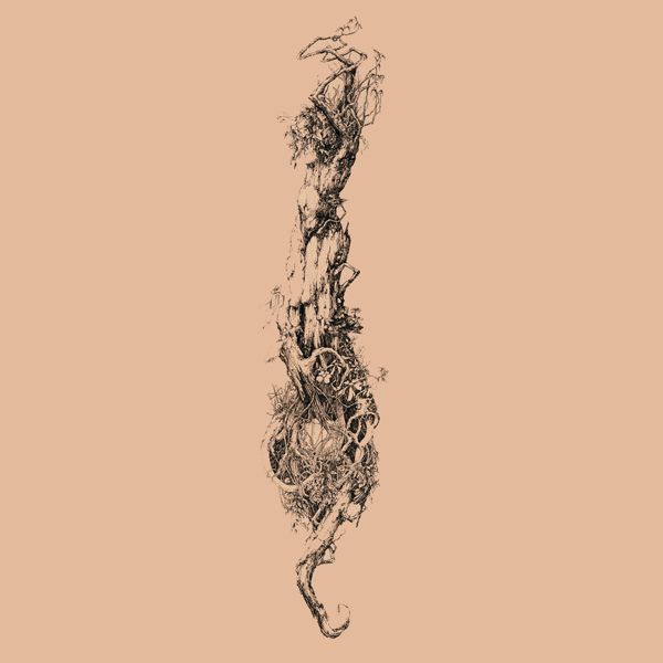 位圖插畫(huà)植物插畫(huà)插畫(huà)師Socar免費(fèi)素材