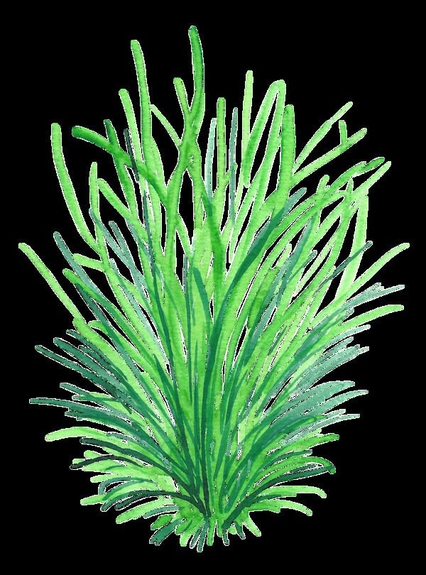 滿綠海草透明裝飾素材