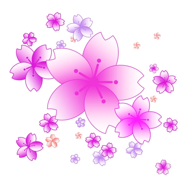 粉色漂亮的樱花插图