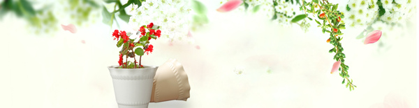 淘寶背景圖