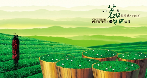 茶文化
