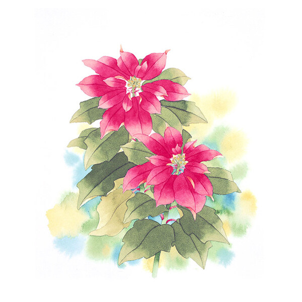 位圖寫意花卉藝術(shù)效果水彩花卉免費(fèi)素材