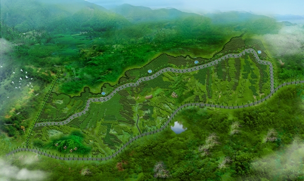 山林綠化效果圖圖片
