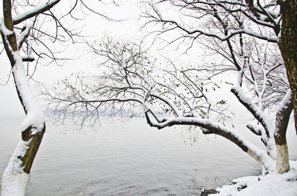 西湖雪景圖片