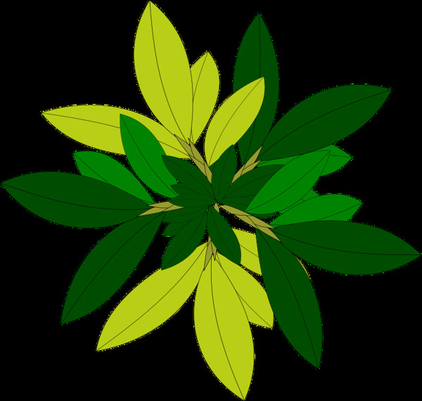 tree08