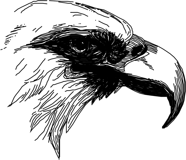 矢量逼真鳥類動物220