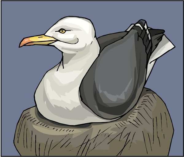 各種鳥(niǎo)類(lèi)鳥(niǎo)動(dòng)物矢量素材EPS格式1403