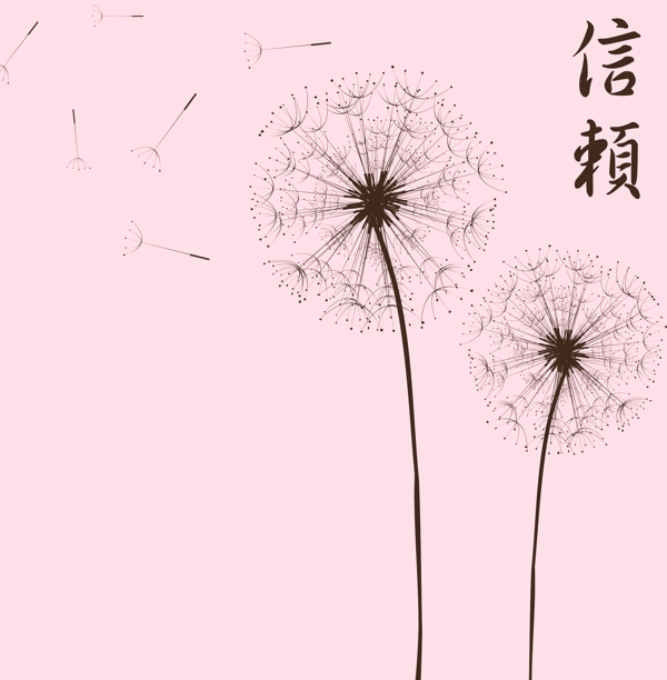 蒲公英圖片