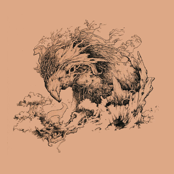 位圖插畫(huà)植物插畫(huà)插畫(huà)師Socar免費(fèi)素材