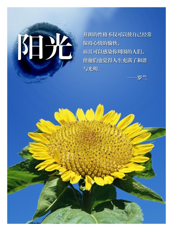 學(xué)校展板陽光