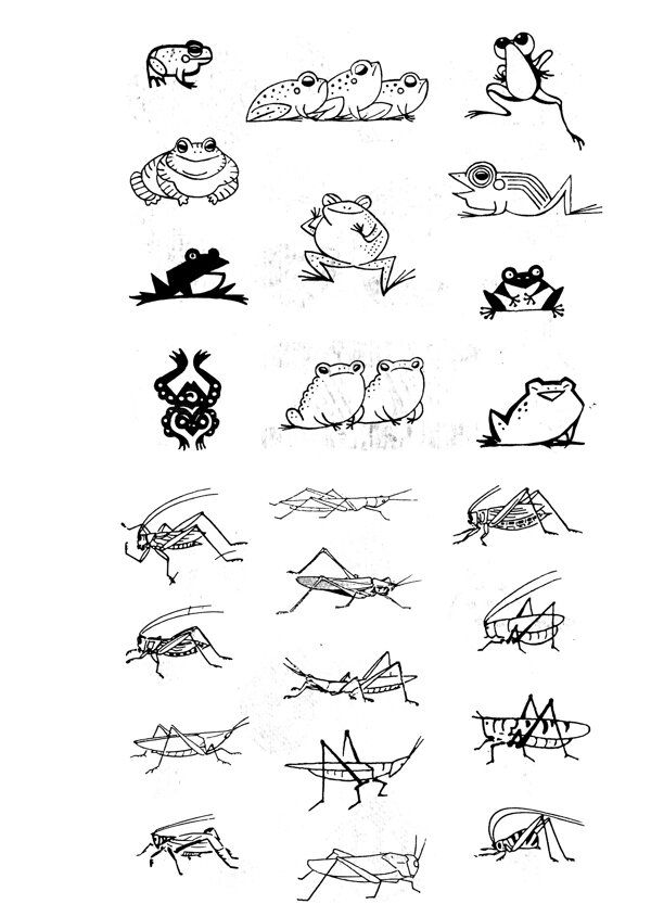動物掃描蝗蟲蜻蛙圖片