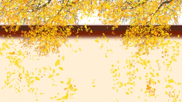 秋分节气墙外落叶枝背景素材