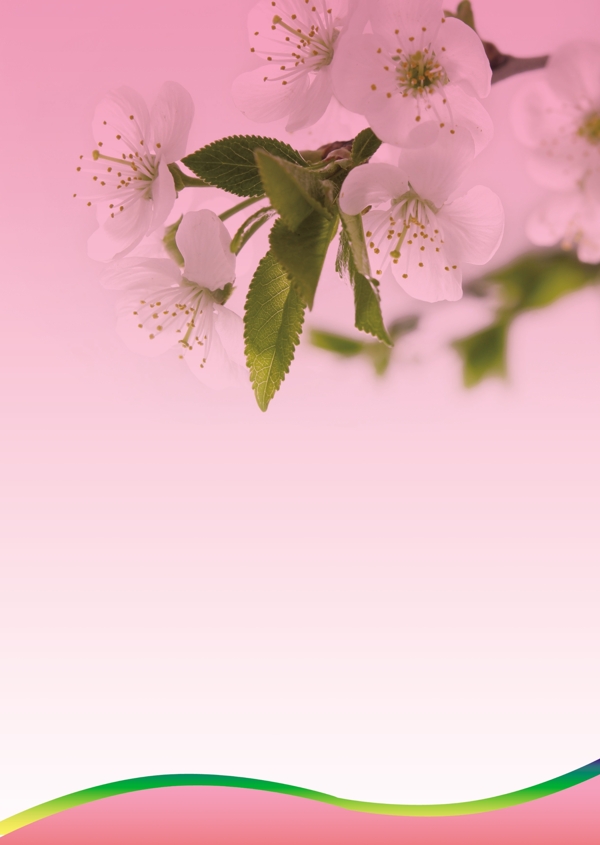 展板模板圖片