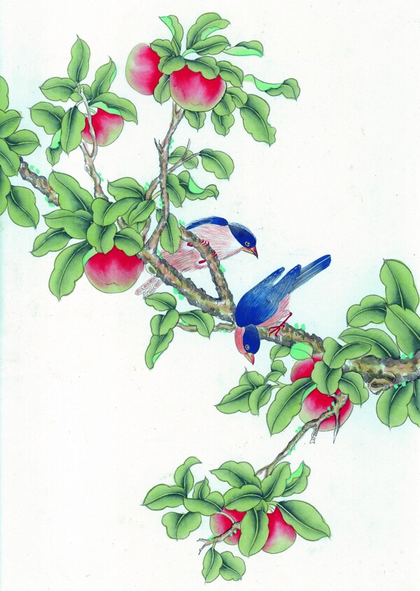 高清工筆畫花鳥