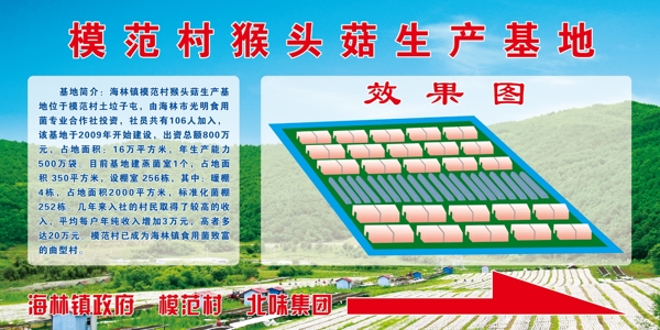猴頭菇生產(chǎn)基地圖片