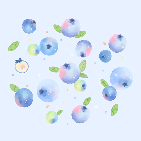 藍莓圖片