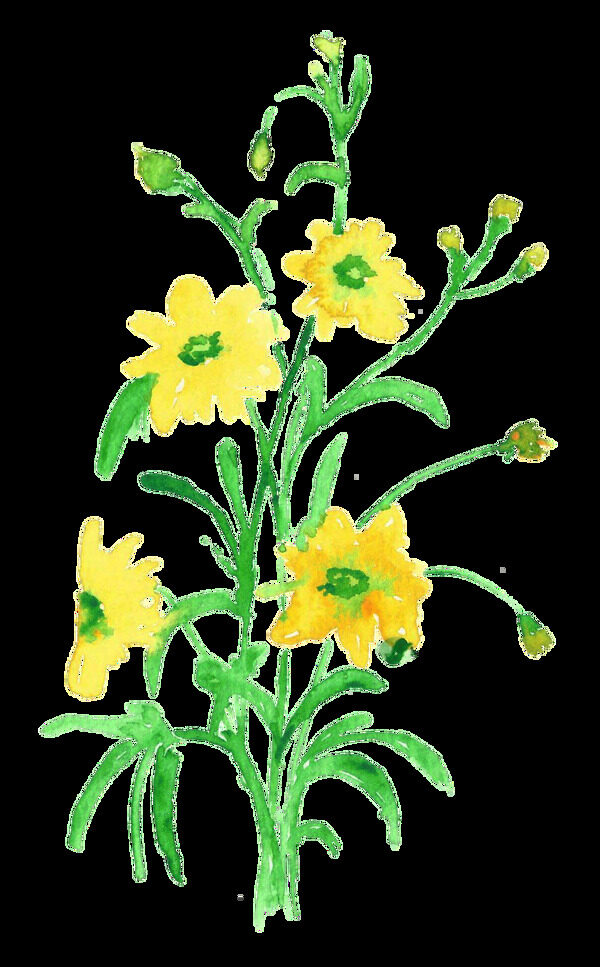 水黃花枝透明裝飾素材
