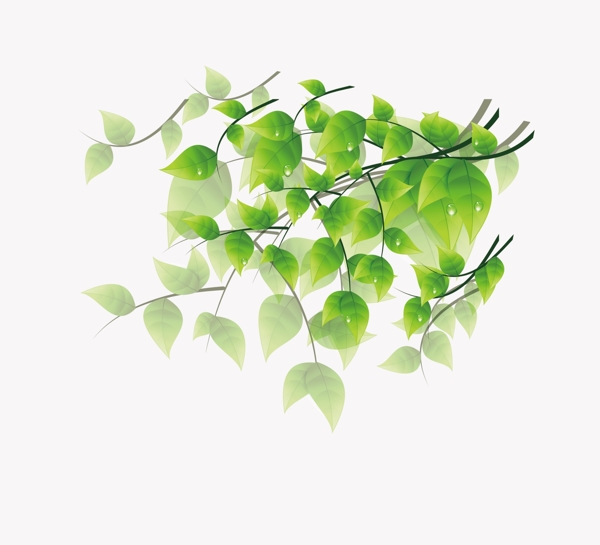 樹葉