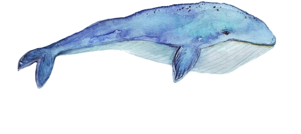水彩蓝鲸矢量素材