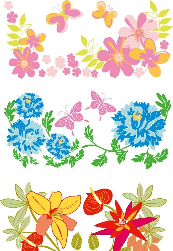 蝴蝶花朵圖片