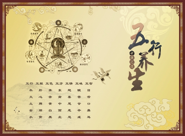五行養(yǎng)生圖片