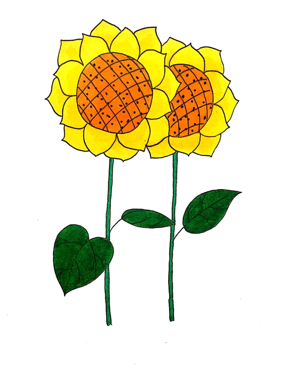 手绘花卉插画向日葵