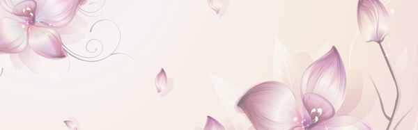 荷花banner創(chuàng)意設(shè)計(jì)