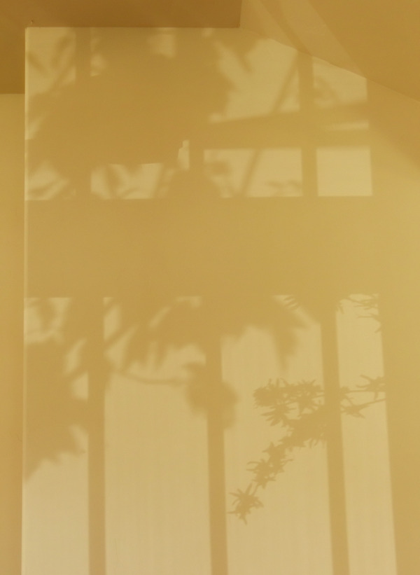紋理背景