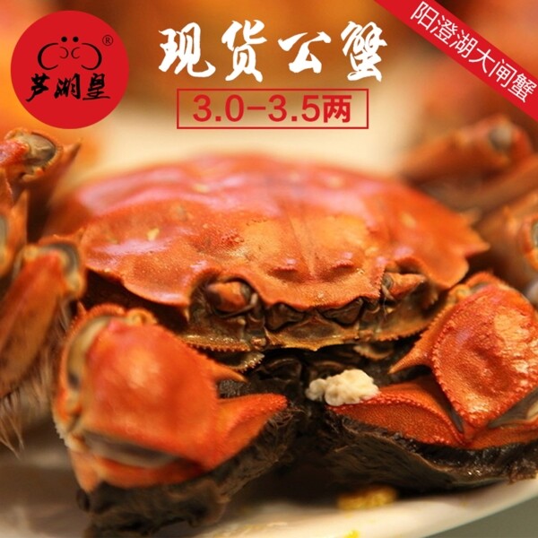 大閘蟹主圖1