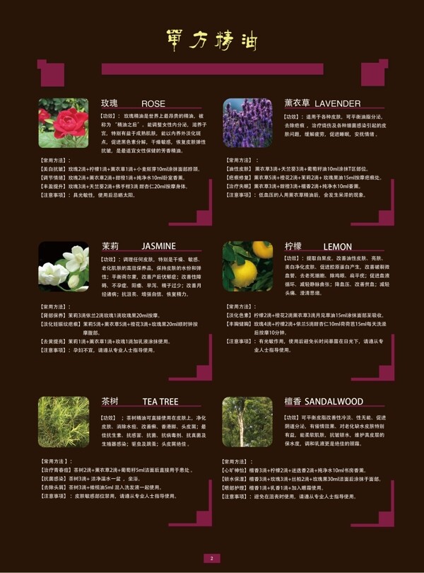 化妝品護膚品畫冊設計圖片