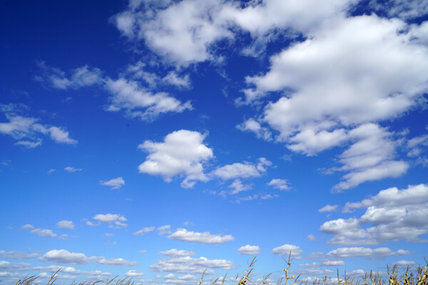 秋天的蓝天白云图片