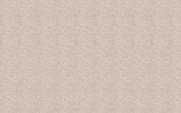 紙的背景243
