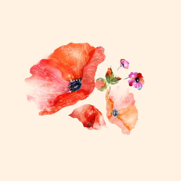 位圖psd植物花朵免費(fèi)素材