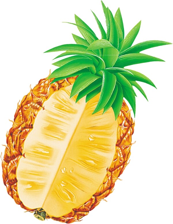 菠蘿