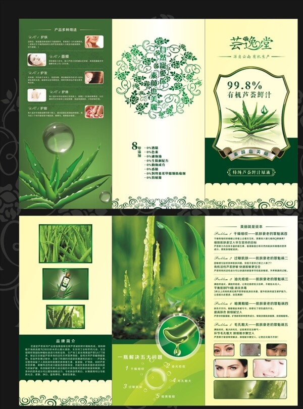 蘆薈三折頁