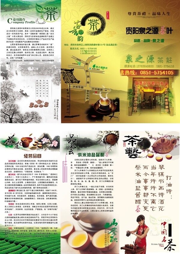 茶葉三折頁圖片