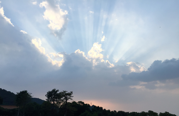 陽光