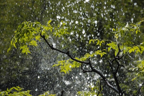 雨水圖片