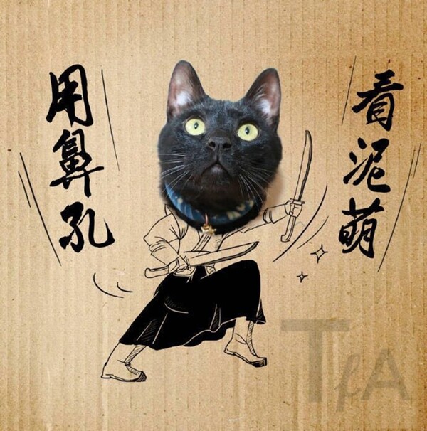 貓咪插畫素材
